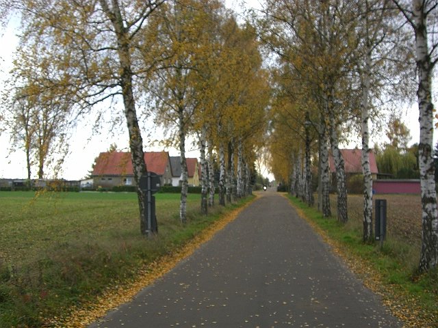 CTF-Seefeld 2008 254